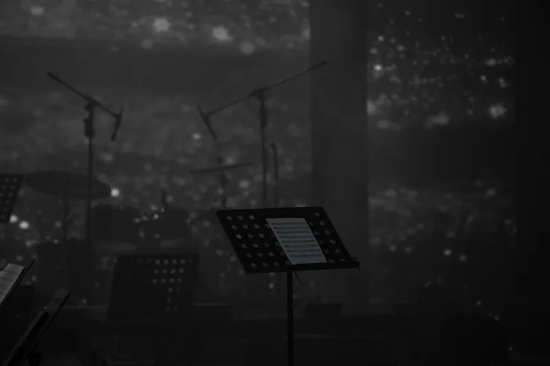 Scène & nuits — Photographe concert & soirée au Maroc