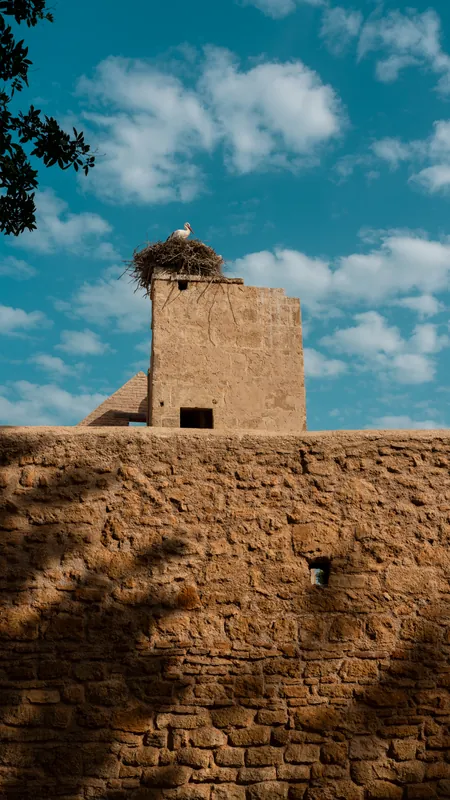 Chellah, Rabat — Série personnelle · Rabat