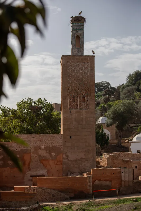 Chellah, Rabat — Série personnelle · Rabat